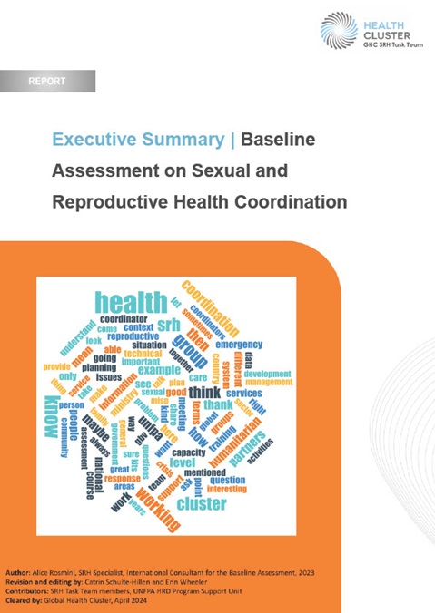 Executive Summary: Baseline Assessment on Sexual and Reproductive Health Coordination
