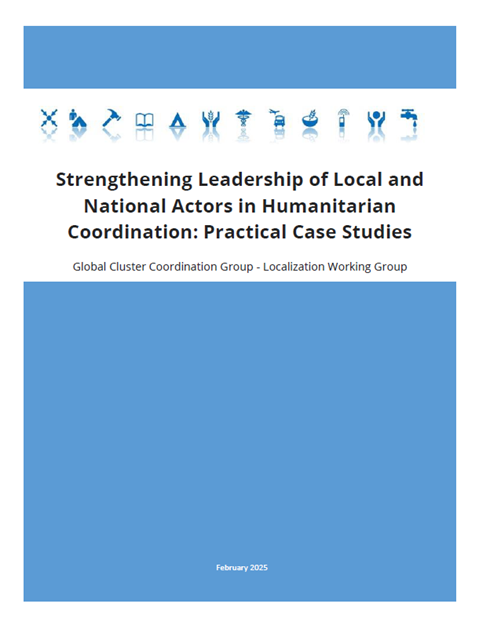 Strengthening Leadership of Local and National Actors in Humanitarian Coordination: Practical Case Studies