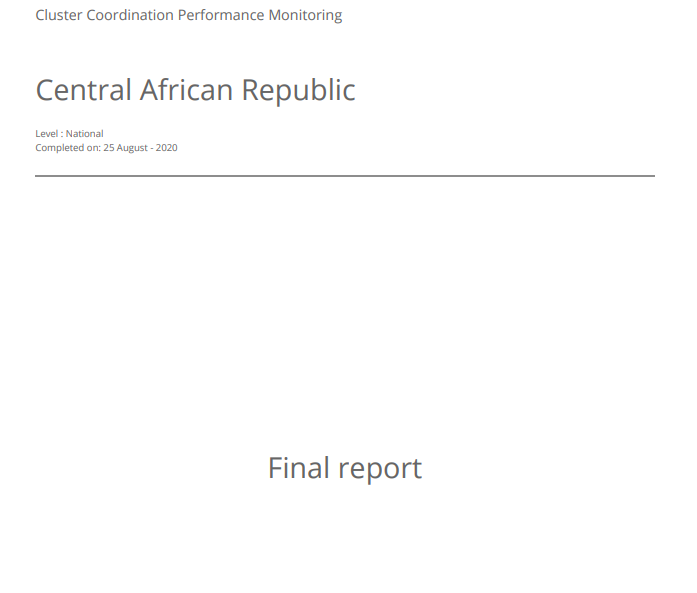 Central African Republic Health Cluster, Cluster Coordination