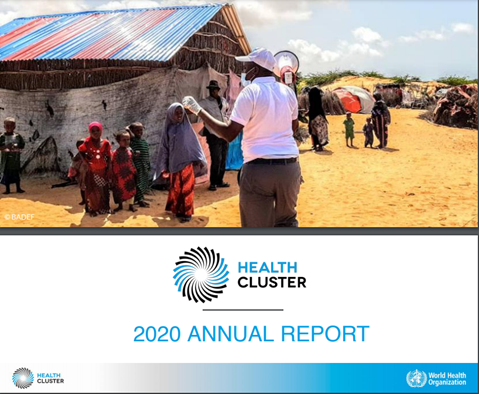 Health Cluster annual report 2020