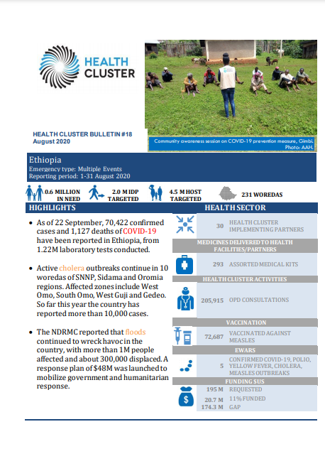 Ethiopia Health Cluster Bulletin, August 2020